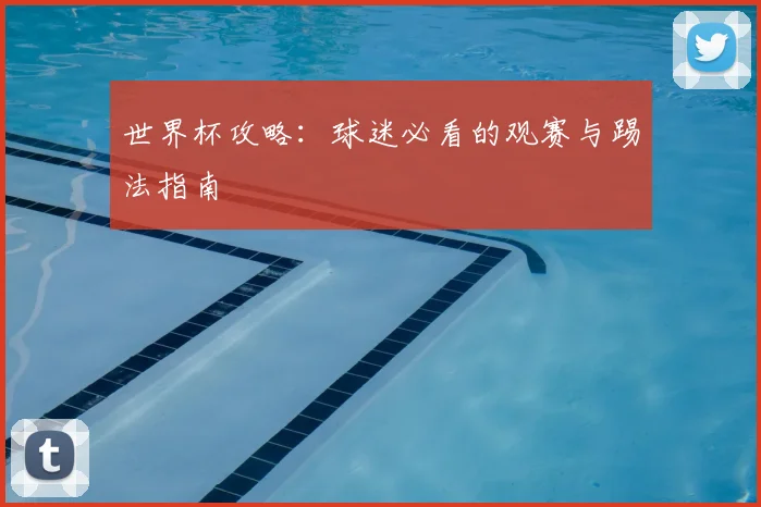 世界杯攻略：球迷必看的观赛与踢法指南