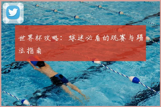 世界杯攻略：球迷必看的观赛与踢法指南